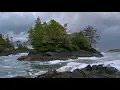 Crashing Waves, Steady Rain, & Rumbling Thunder | Thunderstorm and Ocean White Noise