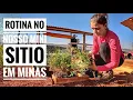Download Lagu ROTINA no MINI SÍTIO feito em um TERRENO! A família AUMENTOU e as OBRAS também! T.11 Ep.30
