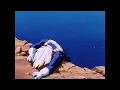 TFS - Vegeta s Final Flash