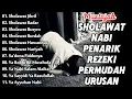 Download Lagu KUMPULAN SHOLAWAT YANG LAGI VIRAL TERBARU 2024 - SHOLAWAT MERDU PENARIK REZEKI - Sholawat Jibril