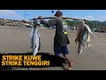 Download Lagu Mancing di Cisolok  Strike Tenggiri, Kuwe, BABON JENAHA