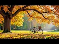 4K Beautiful Relaxing Music For Stress 🍁 Soothing Autumn Music, Anxiety Relief, Relax