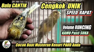 Download KENARI GACOR Cengkok UNIK Mewah || INI BARU MASTERAN KENARI || Trah Canary Lizard || Ring RCM KDS MP3