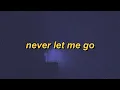 Alan Walker - Alone (slowed + reverb + lyrics)