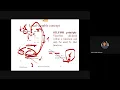 Functions Local vs Global Variables C Programming
