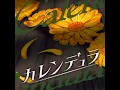 Lagu Rondo - カレンデュラ - Instrumental