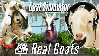 real goats play goat simulator professionals play