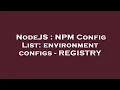 NodeJS NPM Config List environment configs - REGISTRY