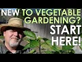 Absolute Beginner s Guide to Starting a Vegetable Garden Black Gumbo