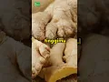 Download Lagu INFO KESEHATAN - Atasi Darah Tinggi Dengan Tanaman Herbal Ini!!!!