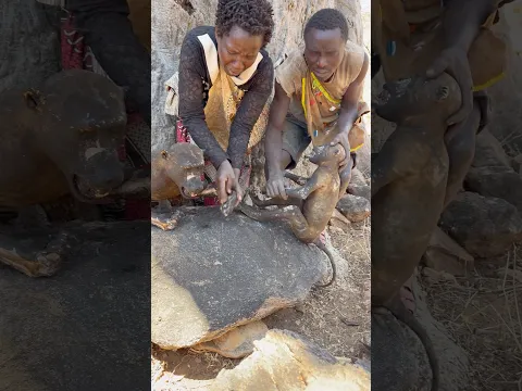 🔥 Witnessing the Hadzabe prepare traditional baboon food in their own unique way. A truly amazing.