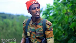 Jecha Hayyoota Wbo Sirba Keessatti Dhaggeeffadhaa 