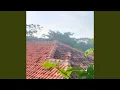 Download Lagu Senangnya dala hati janda