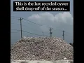 Truckload of oyster shells from Greenville helps break SCDNR recycling record