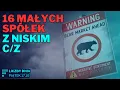 Download Lagu 10 shortów na CCC, 16 maluchów z niskim C/Z, 33 proc. na złocie i Amazon w Kampinosie