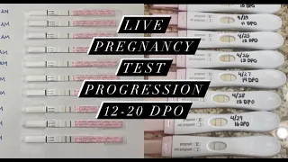 Live Pregnancy Test Progression 12-20 DPO PREGNANT AT 39 7 5 mg