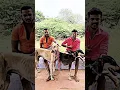 Download Lagu chippiparai dogs whatsapp status Tamil #chippiparai #dog #tamil #animal #cute #hunting #pets