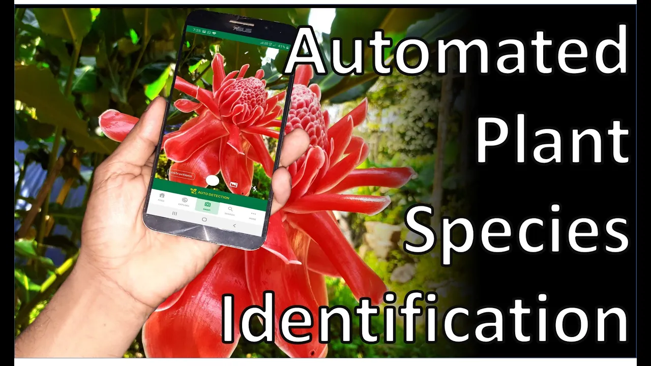 Automated Plant Species Identification