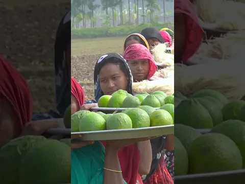 Orange Juice Mix Semolina Cooking Preparation #aroundmebd #food #youtubevillage #cooking #orange