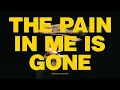 Demon Hunter "The Pain In Me Is Gone" Lyric Video