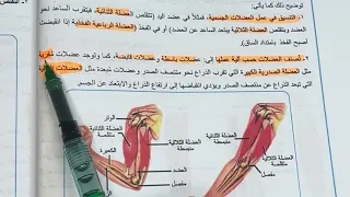 احياء الثالث متوسط كيف تعمل العضلات ص ٣٤ المنهج الجديد شرح وملخص المحاضرة 2 