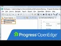 OpenEdge Getting Started with Progress Developer Studio for OpenEdge - Part 2