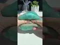 MAUI WATERS SLIME ASMR