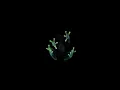 Dog Blood - Turn Off The Lights