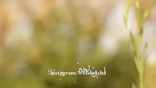 خير أيام الفتى 