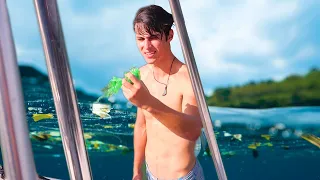 Ocean plastic stops sailboat sailing then best Indian food stops us!