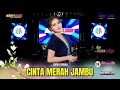 HAPPY LOSS - CINTA MERAH JAMBU - LISTEN SAFANA | DIANA RIA ENTERPRISE - AMBARAWA