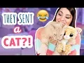 Unboxing YOUR Squishy Packages More Squishy Makeover Victims