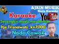 Download Lagu Itje Trisnawati - Secangkir Madu Merah Mix [Karaoke] Kn7000 - Nada Pria | Ajrin Musik