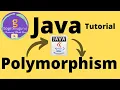 8 Java Tutorial Java polymorphism