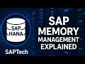 SAP Memory Management Explained ABAP HANA Instance Extended Memory