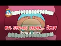 Download Lagu Byl jednou jeden... život 🌱 Ústa a zuby 🦷
