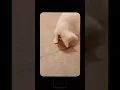 Download Lagu ignore 😂🥀 #mueza #shots #cat #funwithmueza