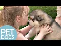 The Perfect Dog for a Little Girl | Pick A Puppy | Pet Docs