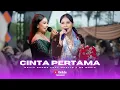 Lagu CINTA PERTAMA - NOVIA ROZMA Feat MERLIN X NR MUSIK