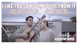 I Like You So Much, You’ll Know It (我多喜欢你，你会知道) - A Love So Beautiful OST (English Cover)