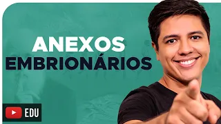 ANEXOS EMBRIONÁRIOS - EMBRIOLOGIA - Prof. Kennedy Ramos