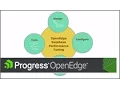 Designing an OpenEdge Database for Performance