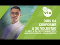 Download Lagu Dios da conforme a su voluntad ⛅ Un Nuevo Despertar Lunes 8 Septiembre de 2025 | Tele VID