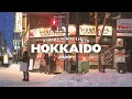 Een besneeuwde winterreis naar Hokkaido | 10-daagse reisroute in Sapporo, Otaru, Asahikawa en Biei | JAPANSE VLOG