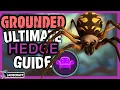 GROUNDED ULTIMATE HEDGE GUIDE 1 0 Ready How To get Blt Recipe Ziplines And More