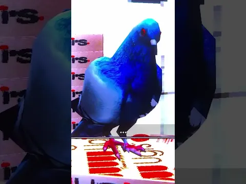 HOLA MIGUEEL