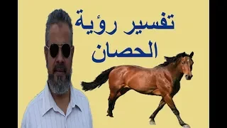 تفسير رؤية الحصان في المنام   اسماعيل الجعبيري دندنها