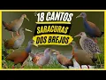 Download Lagu 18 Cantos de \