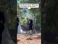 Download Lagu oh nah 😂🤢 dc:kris kaution #fail #wedding #funny #share #follow #shorts #youtube #recommended #fyp