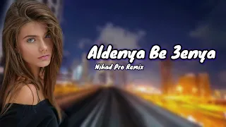 أنس كريم الدنيا بعينيا Anas Kareem Aldenya Be 3enya Nihad Pro Remix 